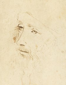 Portrait of Leonardo da Vinci, ca 1518. Creator: Leonardo da Vinci, (Circle of)  .