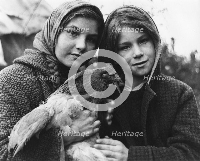 Janie and her brother, gipsy family, Charlwood, Surrey, 1964.