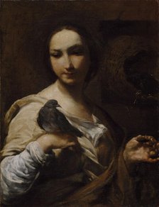 Girl Holding a Dove, 1721-27. Creator: Giuseppe Maria Crespi.