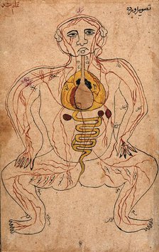 The viscera and the venous system, (between 1800 and 1899?). Creator: Unknown.