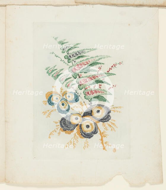 Plate, from New Suite of Notebooks of Ideal Flowers for Use by Draftsmen and Painters, c. 1795. Creator: Anne Allen.