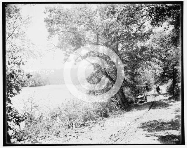 By the French Broad at Jack's Run, N.C., (1902?). Creator: William H. Jackson.