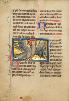 An Eagle; De Natura Avium; De Pastoribus et Ovibus, 1277 or after. Creator: Unknown.