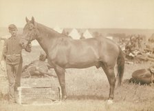 Comanche, the only survivor of the Custer Massacre, 1876 History of the horse and regimental...1887. Creator: John C. H. Grabill.