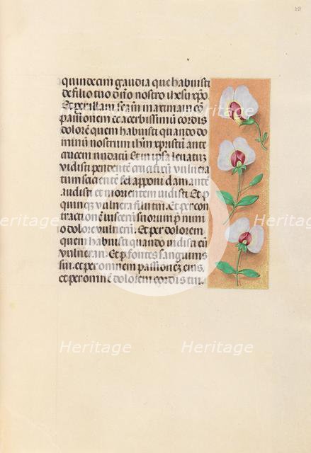 Hours of Queen Isabella the Catholic, Queen of Spain: Fol. 259r, c. 1500. Creator: Master of the First Prayerbook of Maximillian (Flemish, c. 1444-1519); Associates, and.