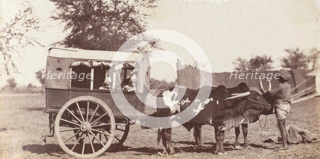 [Campbell Twins in a Shigram, Governor General's Camp], 1858-61. Creator: Jean Baptiste Oscar Mallitte.