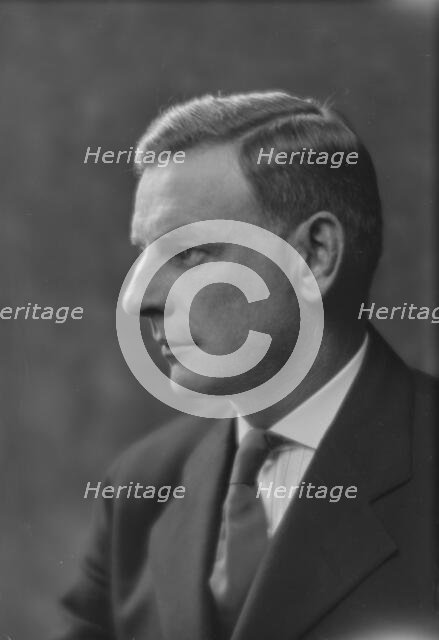 Bull, Charles, Mr., portrait photograph, 1916. Creator: Arnold Genthe.