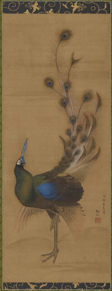 Peacock, 1786. Creator: Mori Sosen.