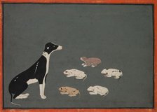 Dog with pups, c. 1780. Creator: Unknown.