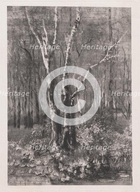 Woods in the Park near Monza, 1895. Creator: Mose, Bianchi.