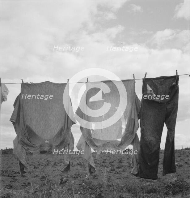 Detail on Kytta farm, Michigan Hill, Thurston County, Western Washington, 1939. Creator: Dorothea Lange.