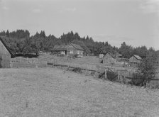 Western Washington subsistence farm, whittled out of the..., Grays Harbor County, Washington, 1939. Creator: Dorothea Lange.