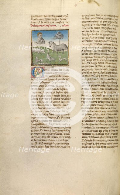 The Creation of Animals; Miroir Historial, about 1475. Creator: Unknown.