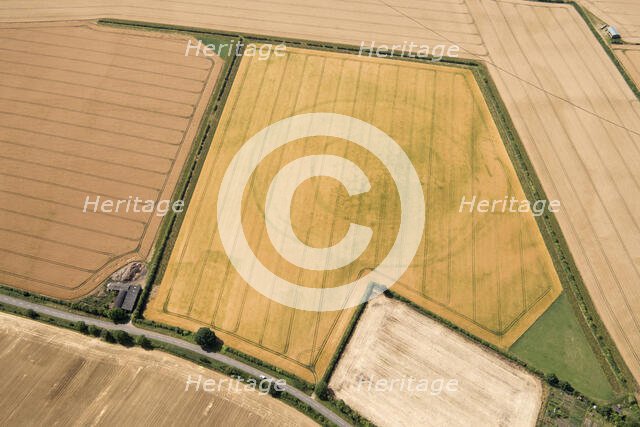 Cropmark remains of a large sub-circular enclosure, Oxfordshire, 2017. Creator: Damian Grady.