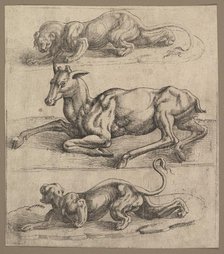 A Doe and Two Lionesses, ca. 1540. Creator: Attributed to Jan Cornelisz Vermeyen (Netherlandish, Beverwijk ca. 1504-1559 Brussels).