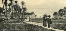 'Egypt - Native Women', c1918-c1939. Creator: Unknown.