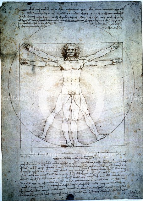 The proportion of the human figure', by Leonardo da Vinci.