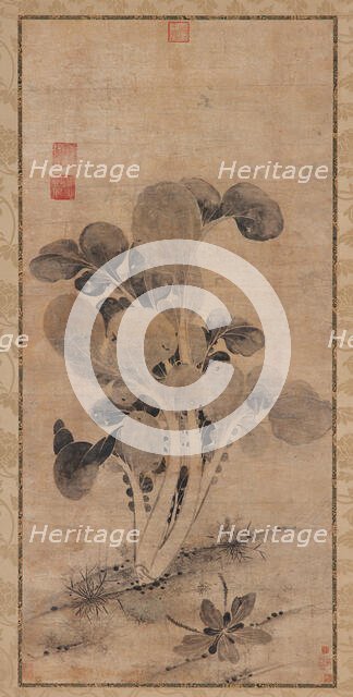 A Cabbage Plant, Late Yuan or early Ming dynasty, 14th-15th century. Creator: Unknown.
