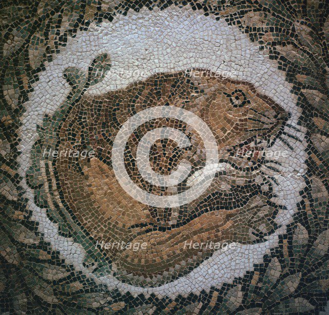 Detail of a Roman mosaic showing the head of a lion, 4th century. Artist: Unknown