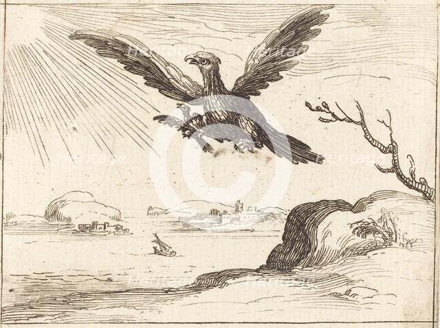 Eagle and Young. Creator: Jacques Callot.