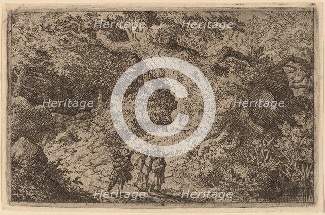 A Thick Forest, probably c. 1645/1656. Creator: Allart van Everdingen.