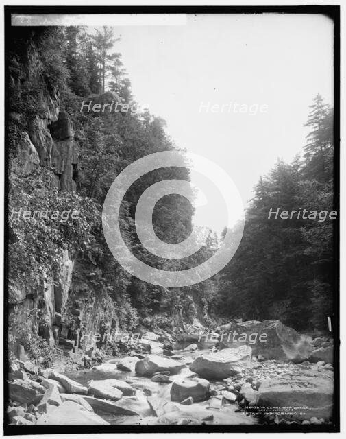 In Clarendon Gorge, Green Mountains, between 1900 and 1906. Creator: Unknown.
