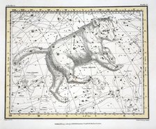 The Constellations (Plate VI) Ursa Major, from A Celestial Atlas by Alexander Jamieson,  1822.