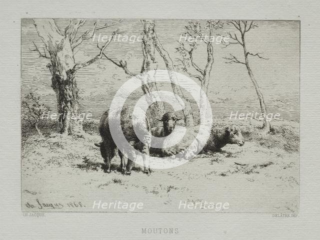 Sheep, 1868. Creator: Charles-Émile Jacque (French, 1813-1894).