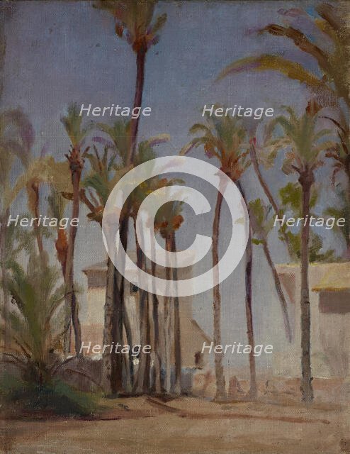 Spain (Elche), 1899. Creator: Jan Ciaglinski.