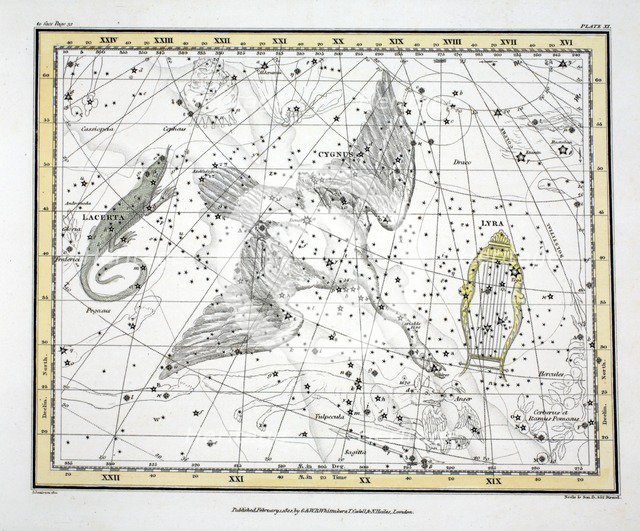 The Constellations (Plate XI) Cygnus, Lacerta and Via Lactea, 1822.