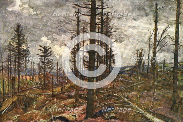 'Le Bois mutile (cote 955, au-dessus de Metzeral)', 1916. Creator: Charles-Jules Duvent.