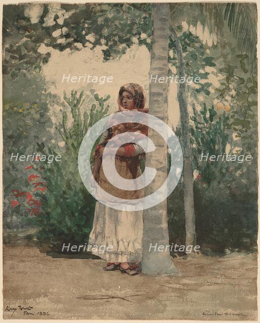 Under a Palm Tree, 1886. Creator: Winslow Homer.