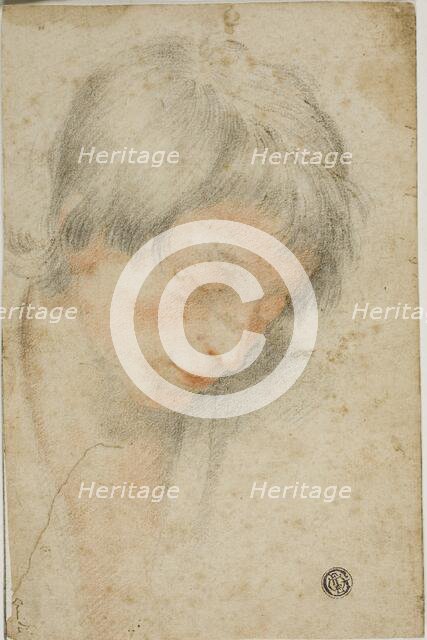 Head of Youth Looking Down, n.d. Creator: Matteo Rosselli.