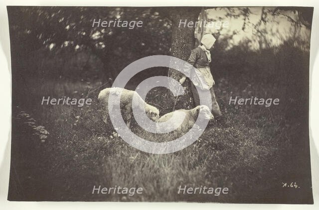 Shepherdess Leaning Against a Tree, with Two Sheep, 1870. Creator: Giraudon's Artist.