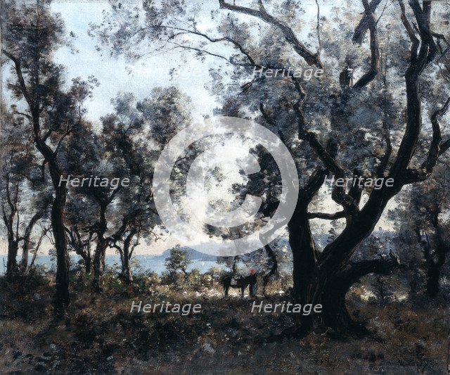 'Olive Trees around Cap Martin', 1891.  Artist: Emmanuel Lansyer