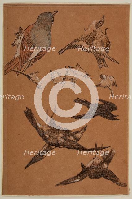 Love leading the Pilgrim - Study of Birds, Crows, Kingfishers, and Sparrows, 1877-97. Creator: Sir Edward Coley Burne-Jones.