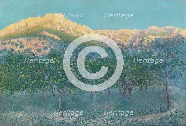 Lemon trees, Mallorca.