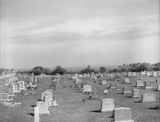 A graveyard at Gloucester which holds the remains of many of the..., Gloucester, Massachusetts, 1943 Creator: Gordon Parks.