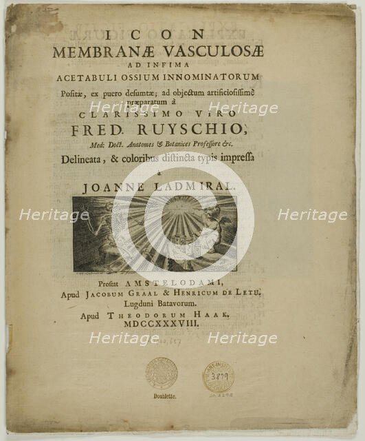 Icon membrane vasculosae, 1738. Creator: Jan L'Admiral.