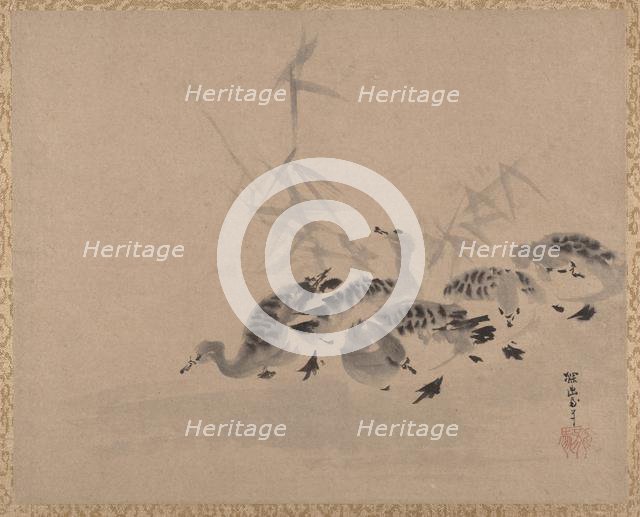 Ducks and Reeds, ca. 1650. Creator: Kanô Tan'yû.