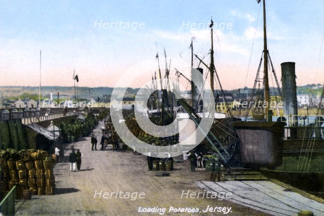 Loading Potatoes, Jersey, 1908. Artist: Unknown