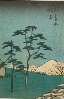 Flower Viewing at Asuka Hill (Asukayama hanami), section of a sheet from the series..., 1852. Creator: Ando Hiroshige.