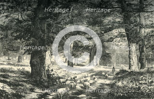 'In Sherwood Forest', c1870.