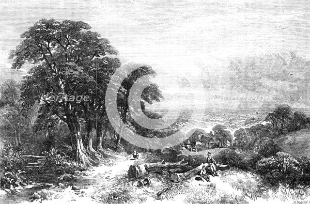 "Timber-clearing on the Hill-side, Sussex" - painted by Henry Jetsum - from the Exhibition of the Br Creator: Mason Jackson.