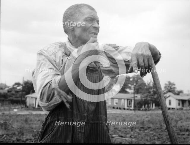 Hoe culture in the South, Negro farmhand, Near Birmingham, Alabama, 1936. Creator: Dorothea Lange.
