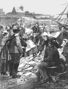 'The Newfoundland Cod Fishery; The Distribution of Dried Fish on the Quay at St. Malo...', 1891. Creator: Unknown.