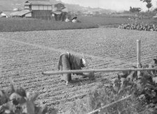 Travel views of Japan and Korea, 1908. Creator: Arnold Genthe.