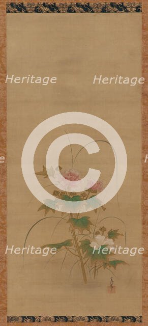 Hibiscus (part of a set), Edo period, mid 17th-early 18th century. Creator: Kanô Yôboku Tsunenobu.