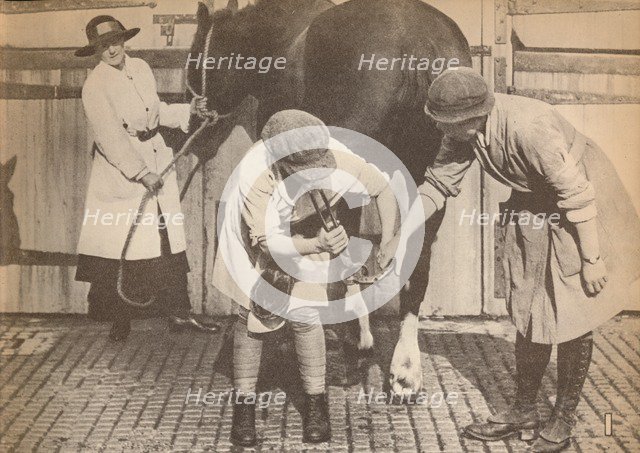 'Women as farriers in the horse hospital of a big firm of haulage contactors', c1916, (1935). Artist: Unknown.