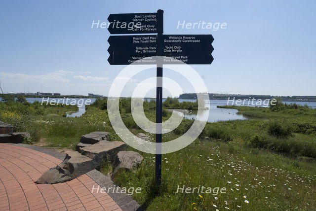 Cardiff, Wetlands Reserve, 2009. Creator: Ethel Davies.